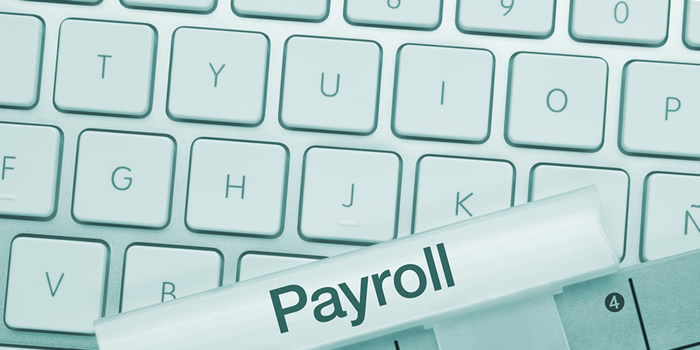 palm-harbor-florida-payroll-processing-services